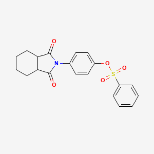 4-(1,3-dioxooctahydro-2H-isoindol-2-yl)phenyl benzenesulfonate