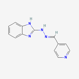 molecular formula C13H11N5 B11691910 isonicotinaldehyde 1H-benzimidazol-2-ylhydrazone 