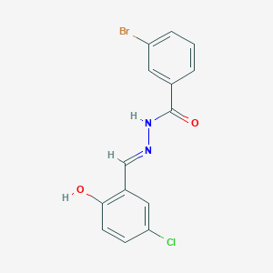 3-bromo-N'-[(E)-(5-chloro-2-hydroxyphenyl)methylidene]benzohydrazide