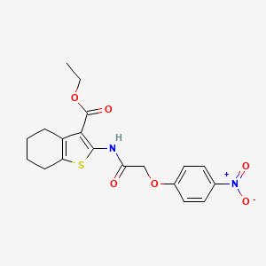 Ethyl 2-{[(4-nitrophenoxy)acetyl]amino}-4,5,6,7-tetrahydro-1-benzothiophene-3-carboxylate