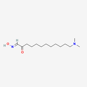 molecular formula C14H28N2O2 B11700486 (1E)-12-(dimethylamino)-1-(hydroxyimino)dodecan-2-one 