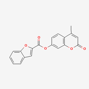 molecular formula C19H12O5 B11700691 4-methyl-2-oxo-2H-chromen-7-yl 1-benzofuran-2-carboxylate 