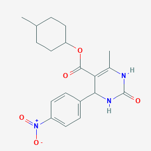 molecular formula C19H23N3O5 B11700838 4-Methylcyclohexyl 6-methyl-4-(4-nitrophenyl)-2-oxo-1,2,3,4-tetrahydropyrimidine-5-carboxylate 