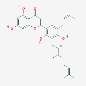 molecular formula C30H36O6 B1170215 Sanggenol P CAS No. 1351931-30-0