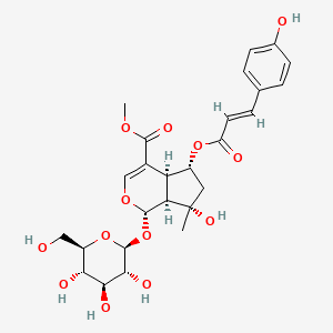 molecular formula C26H32O13 B1170227 6-O-trans-p-Coumaroylshanzhiside methyl ester CAS No. 1246012-26-9