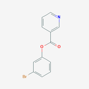 molecular formula C12H8BrNO2 B11703749 3-Bromophenyl nicotinate CAS No. 3717-74-6