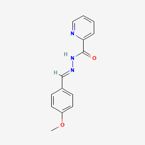 molecular formula C14H13N3O2 B11704259 N'-[(E)-(4-methoxyphenyl)methylidene]pyridine-2-carbohydrazide 