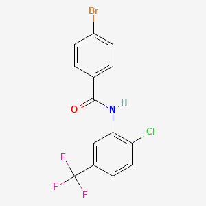 molecular formula C14H8BrClF3NO B11705877 4-bromo-N-[2-chloro-5-(trifluoromethyl)phenyl]benzamide 