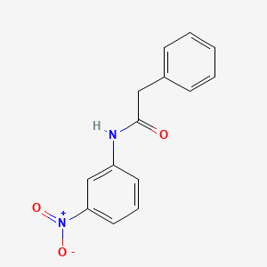 molecular formula C14H12N2O3 B11707972 N-(3-nitrophenyl)-2-phenylacetamide CAS No. 13140-76-6