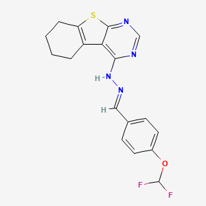 molecular formula C18H16F2N4OS B11708228 4-(Difluoromethoxy)benzaldehyde 5,6,7,8-tetrahydro[1]benzothieno[2,3-d]pyrimidin-4-ylhydrazone 