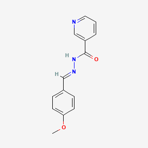 molecular formula C14H13N3O2 B11708483 N'-[(E)-(4-methoxyphenyl)methylidene]pyridine-3-carbohydrazide CAS No. 732966-41-5