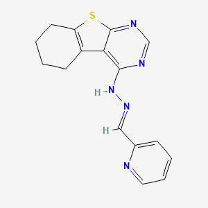 2-Pyridinecarbaldehyde 5,6,7,8-tetrahydro[1]benzothieno[2,3-D]pyrimidin-4-ylhydrazone