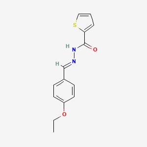 molecular formula C14H14N2O2S B11709146 N'-(4-ethoxybenzylidene)-2-thiophenecarbohydrazide 