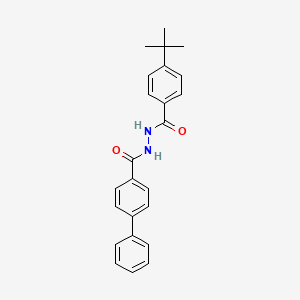 molecular formula C24H24N2O2 B11709288 N'-[(4-tert-butylphenyl)carbonyl]biphenyl-4-carbohydrazide 