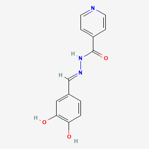 molecular formula C13H11N3O3 B11709867 N'-[(E)-(3,4-dihydroxyphenyl)methylidene]pyridine-4-carbohydrazide 