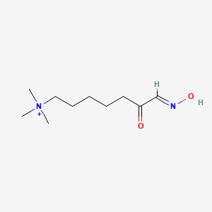 molecular formula C10H21N2O2+ B11710600 (7E)-7-(hydroxyimino)-N,N,N-trimethyl-6-oxoheptan-1-aminium 