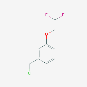 molecular formula C9H9ClF2O B11711246 1-(Chloromethyl)-3-(2,2-difluoroethoxy)benzene 