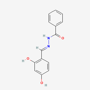 molecular formula C14H12N2O3 B11712148 N'-(2,4-dihydroxybenzylidene)benzohydrazide CAS No. 71040-04-5