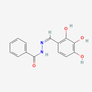 molecular formula C14H12N2O4 B11715817 N'-[(E)-(2,3,4-trihydroxyphenyl)methylidene]benzohydrazide 