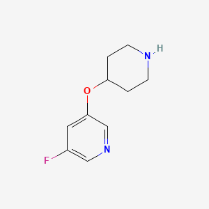 molecular formula C10H13FN2O B11715885 3-Fluoro-5-(piperidin-4-yloxy)pyridine 