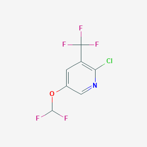 molecular formula C7H3ClF5NO B11716397 2-Chloro-5-(difluoromethoxy)-3-(trifluoromethyl)pyridine 