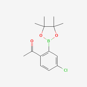 molecular formula C14H18BClO3 B11717011 1-[4-Chloro-2-(4,4,5,5-tetramethyl-1,3,2-dioxaborolan-2-yl)phenyl]ethan-1-one 