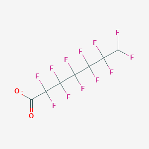 molecular formula C7HF12O2- B11717511 2,2,3,3,4,4,5,5,6,6,7,7-Dodecafluoroheptanoate CAS No. 69681-35-2