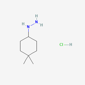 molecular formula C8H19ClN2 B11718124 (4,4-Dimethylcyclohexyl)hydrazine hydrochloride 