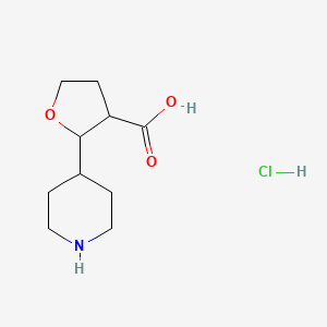 2-(Piperidin-4-yl)oxolane-3-carboxylic acid hydrochloride