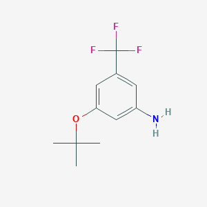 3-(tert-Butoxy)-5-(trifluoromethyl)aniline