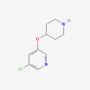 molecular formula C10H13ClN2O B11721435 3-Chloro-5-(piperidin-4-yloxy)pyridine 