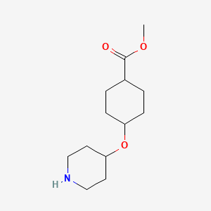 molecular formula C13H23NO3 B11721844 Methyl 4-(piperidin-4-yloxy)cyclohexane-1-carboxylate 