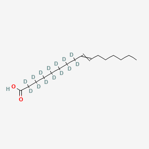 molecular formula C16H30O2 B11722729 2,2,3,3,4,4,5,5,6,6,7,7,8,8-Tetradecadeuteriohexadec-9-enoic acid 