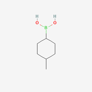 molecular formula C7H15BO2 B11722906 (4-Methylcyclohexyl)boronic acid 