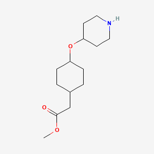 molecular formula C14H25NO3 B11723136 Methyl [cis-4-(piperidin-4-yloxy)cyclohexyl]acetate 