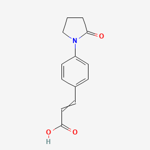 molecular formula C13H13NO3 B11723200 3-[4-(2-oxopyrrolidin-1-yl)phenyl]prop-2-enoic acid 