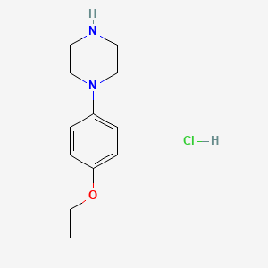 molecular formula C12H19ClN2O B11723497 1-(4-Ethoxyphenyl)piperazine hydrochloride CAS No. 897671-01-1