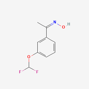 molecular formula C9H9F2NO2 B11723652 (E)-N-{1-[3-(Difluoromethoxy)phenyl]ethylidene}hydroxylamine 