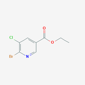 molecular formula C8H7BrClNO2 B11724143 Ethyl 6-bromo-5-chloropyridine-3-carboxylate 