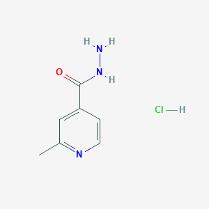 molecular formula C7H10ClN3O B11725005 2-Methylisonicotinohydrazide hydrochloride 