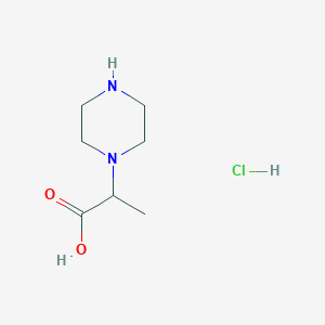 molecular formula C7H15ClN2O2 B11725169 2-(Piperazin-1-yl)propanoic acid hydrochloride 