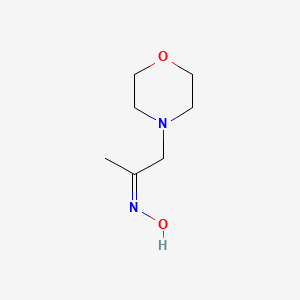 molecular formula C7H14N2O2 B11725799 (E)-N-[1-(Morpholin-4-YL)propan-2-ylidene]hydroxylamine 