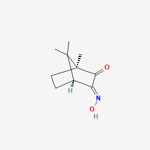 molecular formula C10H15NO2 B11726213 (1S,3E,4R)-3-hydroxyimino-1,7,7-trimethylbicyclo[2.2.1]heptan-2-one CAS No. 206996-56-7