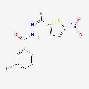 molecular formula C12H8FN3O3S B11726999 3-fluoro-N-[(Z)-(5-nitrothiophen-2-yl)methylideneamino]benzamide 