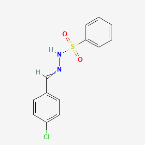 molecular formula C13H11ClN2O2S B11727097 N'-[(4-Chlorophenyl)methylidene]benzenesulfonohydrazide 