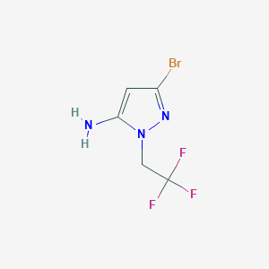 molecular formula C5H5BrF3N3 B11728870 3-Bromo-1-(2,2,2-trifluoroethyl)-1h-pyrazol-5-amine 