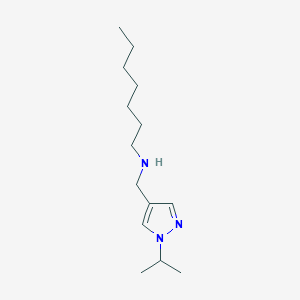 molecular formula C14H27N3 B11729598 heptyl({[1-(propan-2-yl)-1H-pyrazol-4-yl]methyl})amine CAS No. 1856086-10-6