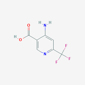 molecular formula C7H5F3N2O2 B11729917 4-Amino-6-(trifluoromethyl)nicotinic acid 