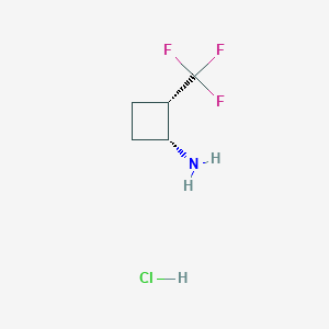 molecular formula C5H9ClF3N B11731916 (1R,2S)-2-(Trifluoromethyl)cyclobutan-1-amine hydrochloride 