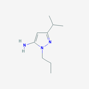 molecular formula C9H17N3 B11732150 3-(propan-2-yl)-1-propyl-1H-pyrazol-5-amine 